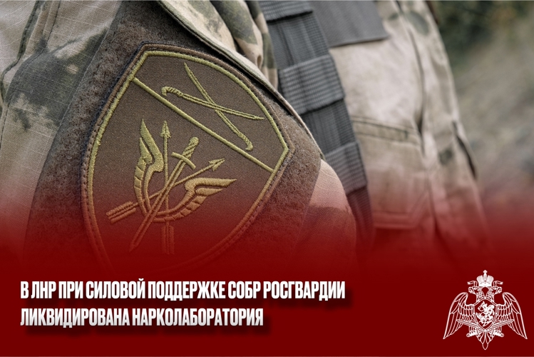 В ЛНР при силовой поддержке СОБР Росгвардии ликвидирована нарколаборатория