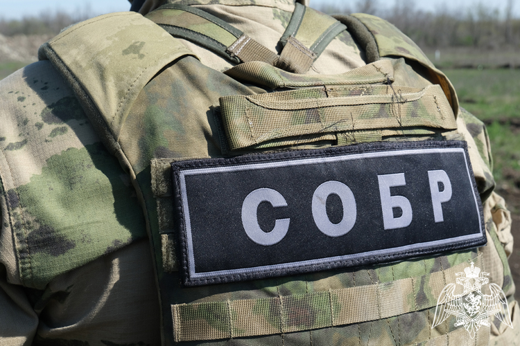 Незаконный оборот никотиносодержащих изделий пресекли при участии Росгвардии в ЛНР