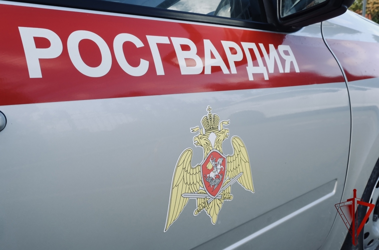В Красном Луче сотрудники вневедомственной охраны Росгвардии пресекли попытку хищения имущества из магазина