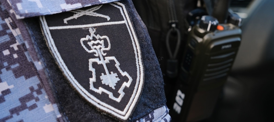 Более 80 тревожных вызовов отработали росгвардейцы в ЛНР за неделю