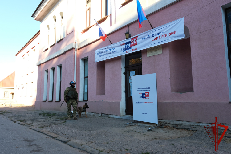 Росгвардейцы приняли участие в обеспечении безопасности при проведении выборов (видео)