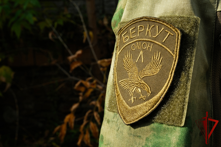 Ограбивших пенсионера налётчиков задержали при содействии спецназа Росгвардии